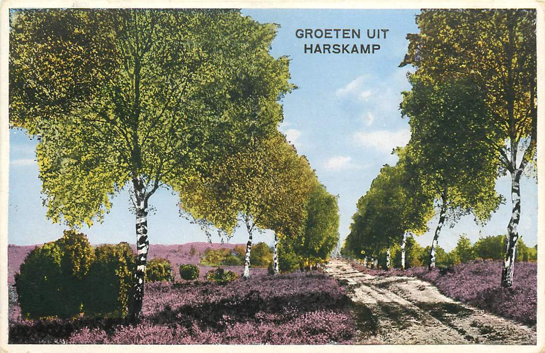 Harskamp Groeten uit