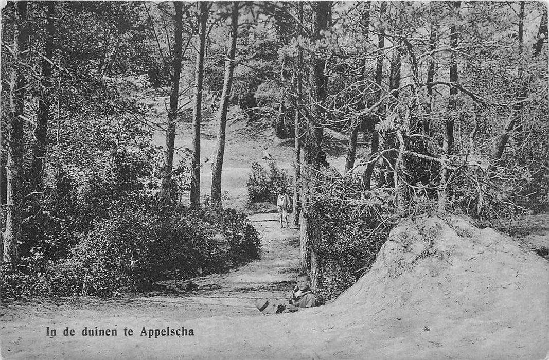 Appelscha in de Duinen