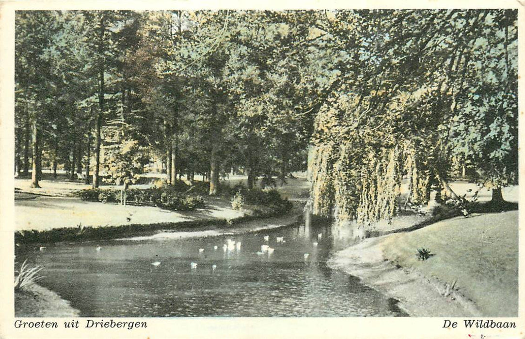 Driebergen-Rijsenburg De Wildbaan