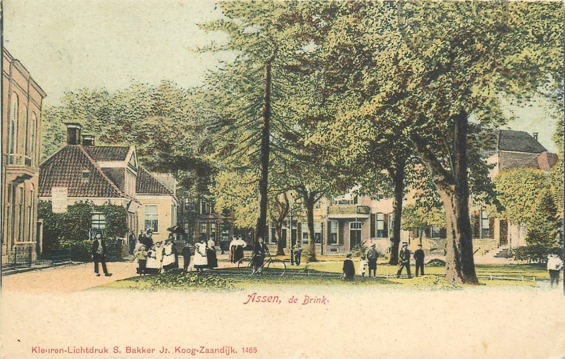 Assen de Brink