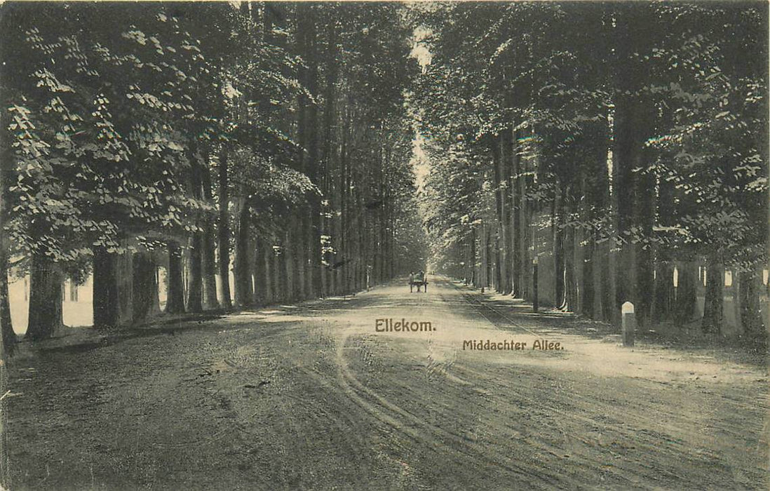 Ellecom Middachter Allee