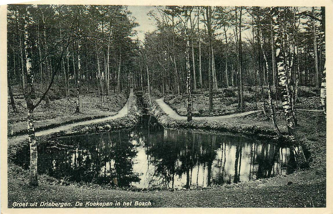 Driebergen-Rijsenburg De Koekepan in het Bosch