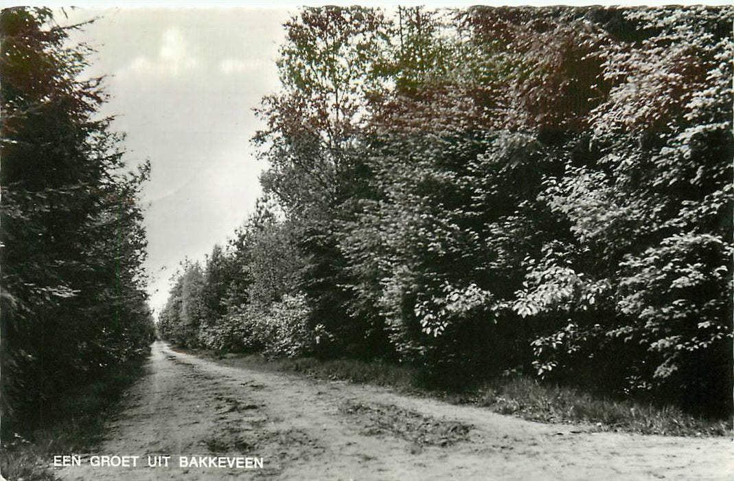 Bakkeveen