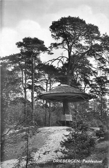 Driebergen Paddenstoel