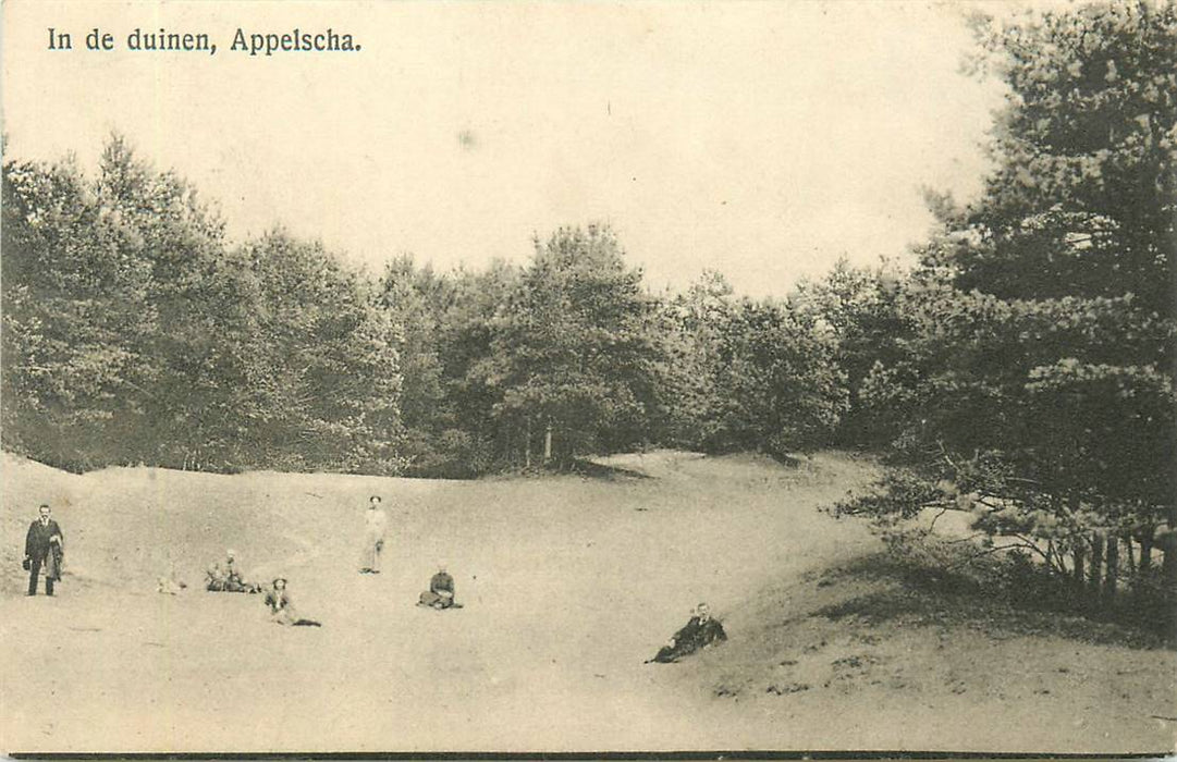 Appelscha In de duinen