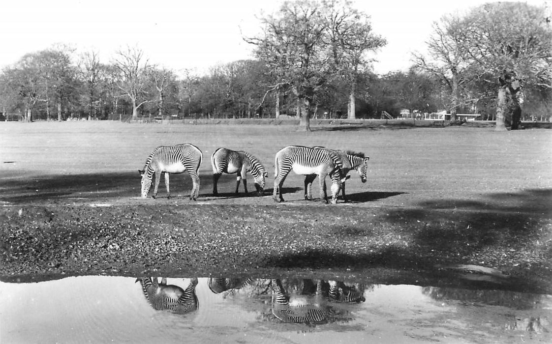 Whipsnade Park