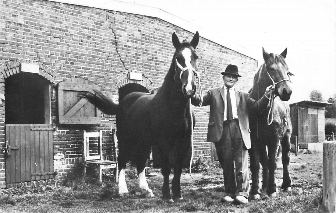 Soest De Paardenkamp