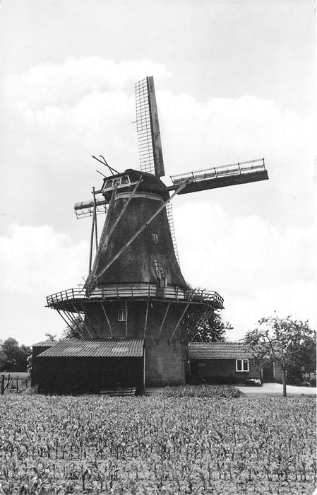 Geesteren Korenmolen De Ster