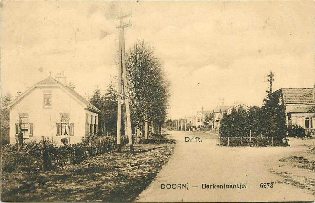 Doorn Berkenlaantje