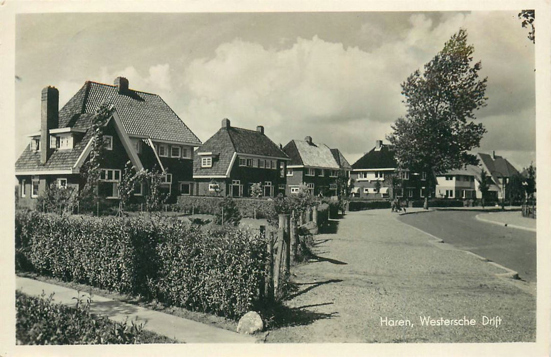 Haren GN Westersche Drift