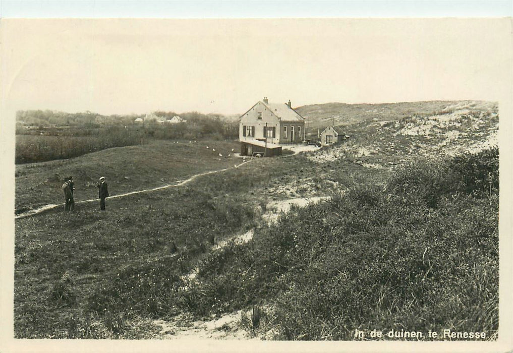 Renesse in de Duinen