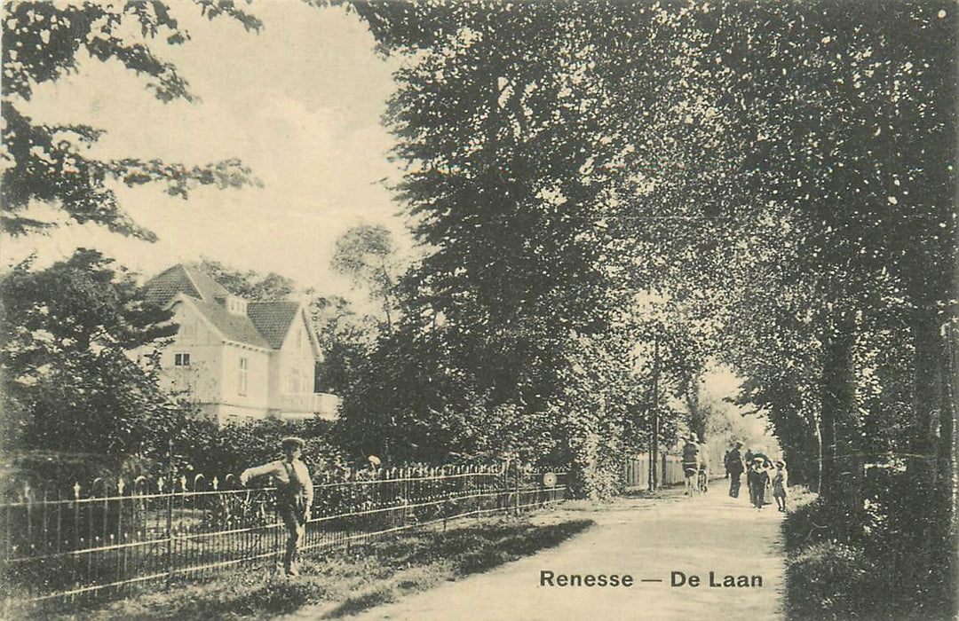 Renesse De Laan