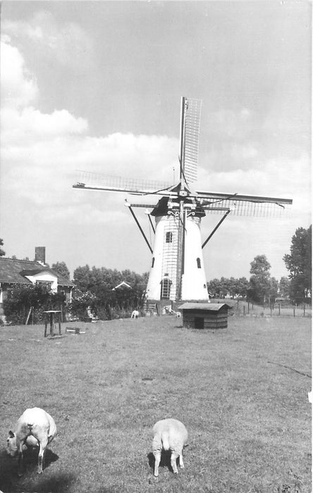 Nieuwerkerk Molen