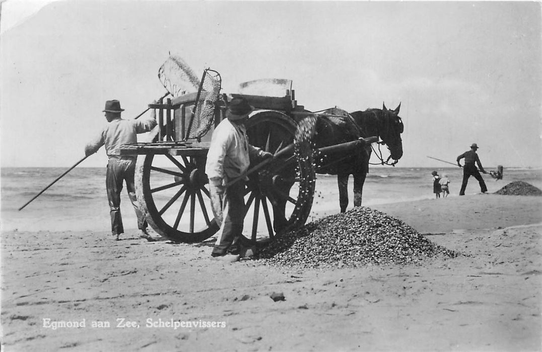 Egmond aan Zee Schelpenvissers