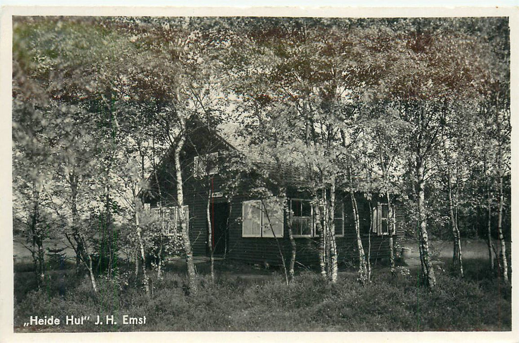 Emst bij Epe Heide Hut