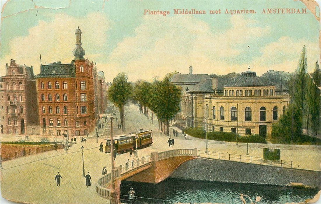 Amsterdam Plantage Middenlaan