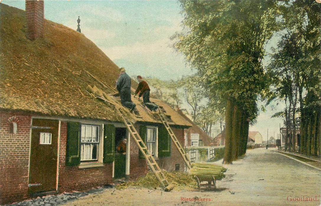 Gooiland Rietdekkers