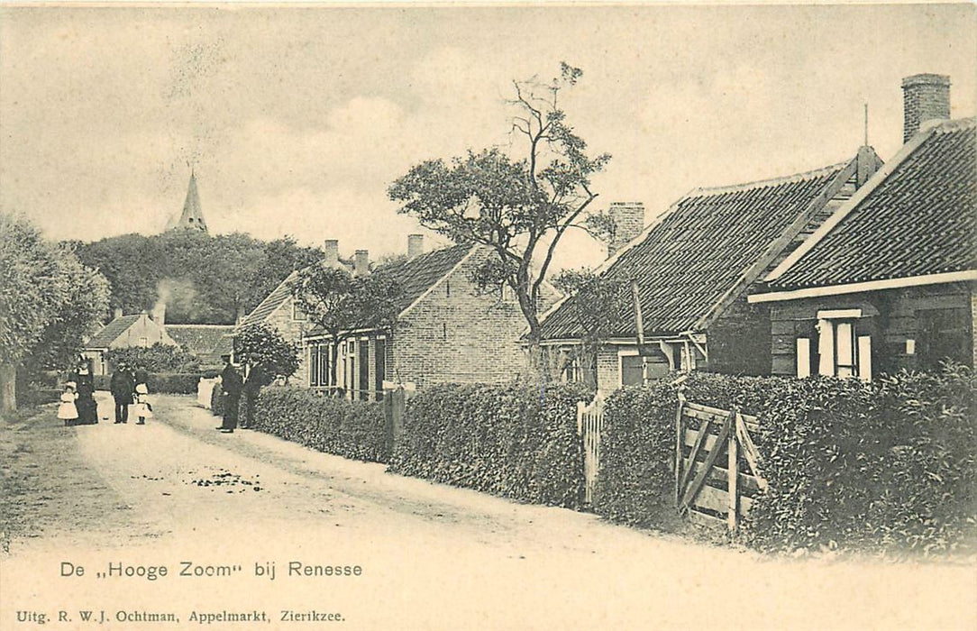 Renesse De Hooge Zoom