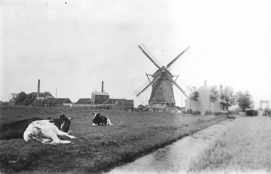 Zaandijk Watermolen Het Leven