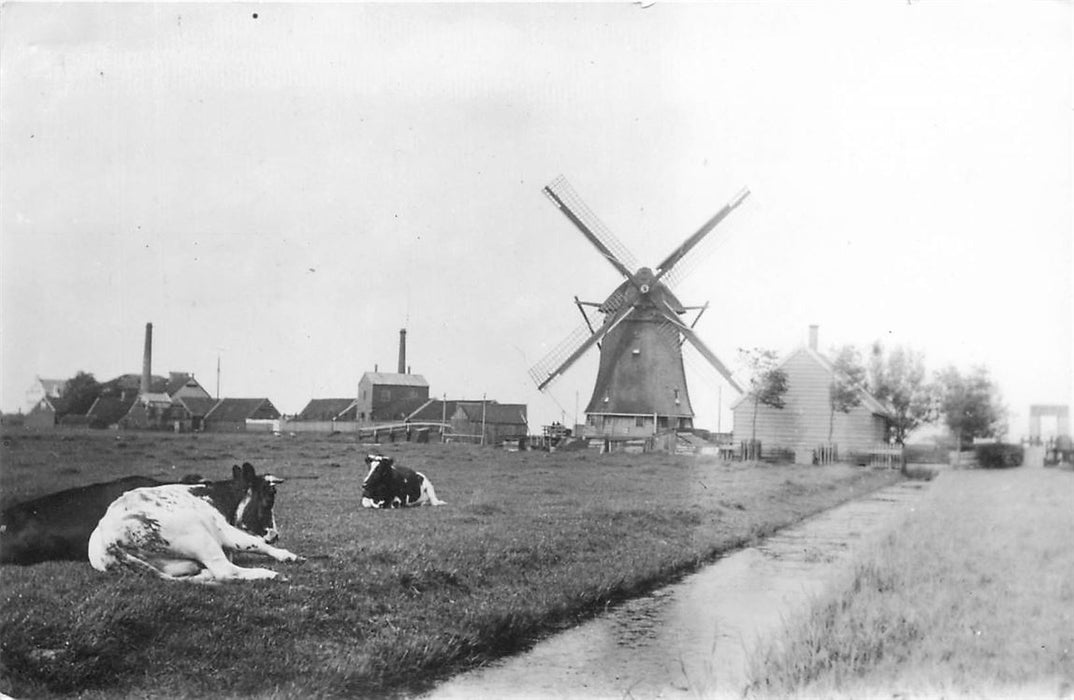 Zaandijk Watermolen Het Leven