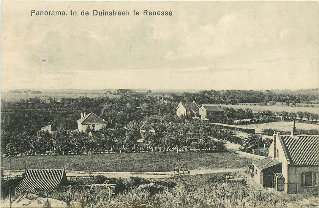 Renesse In de Duinstreek