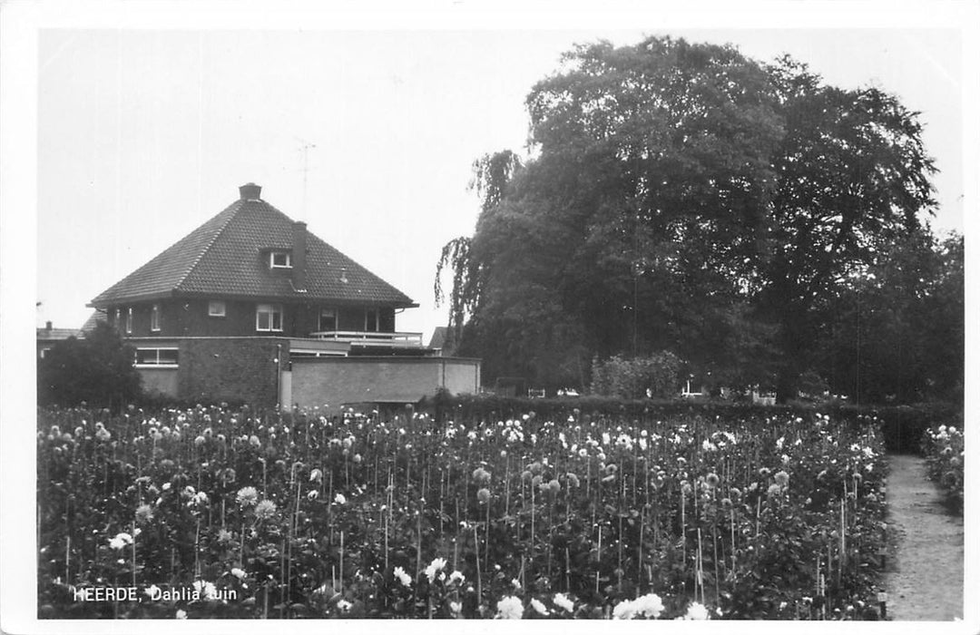 Heerde  Dahlia Tuin