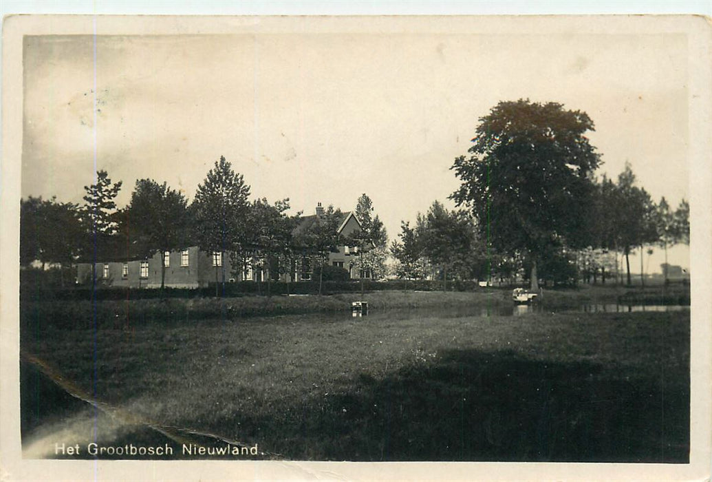 Nieuwland Het Grootbosch