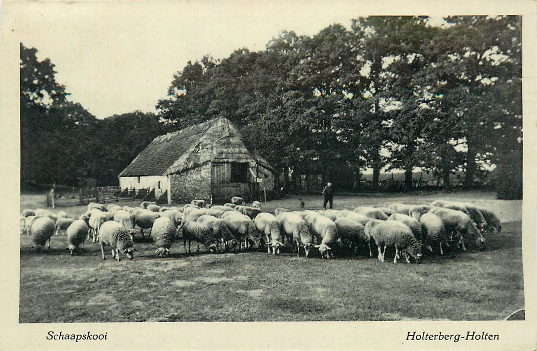 Holten Holterberg Schaapskooi