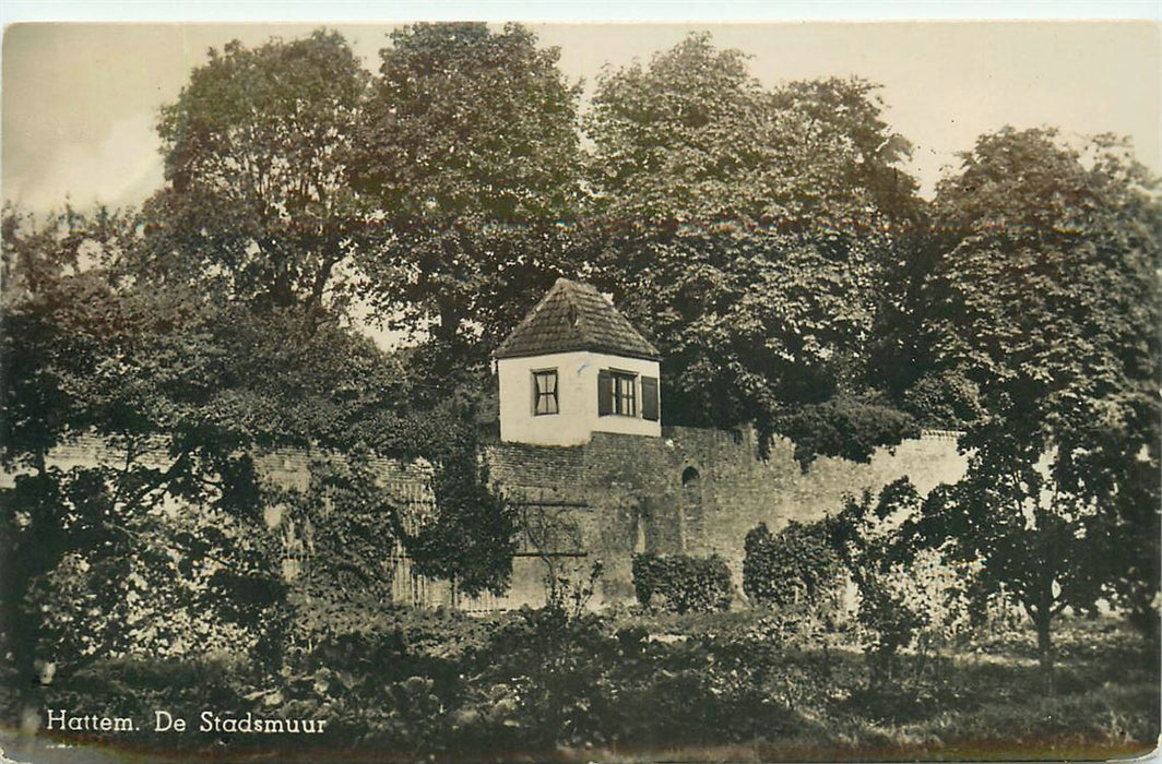 Hattem De Stadsmuur