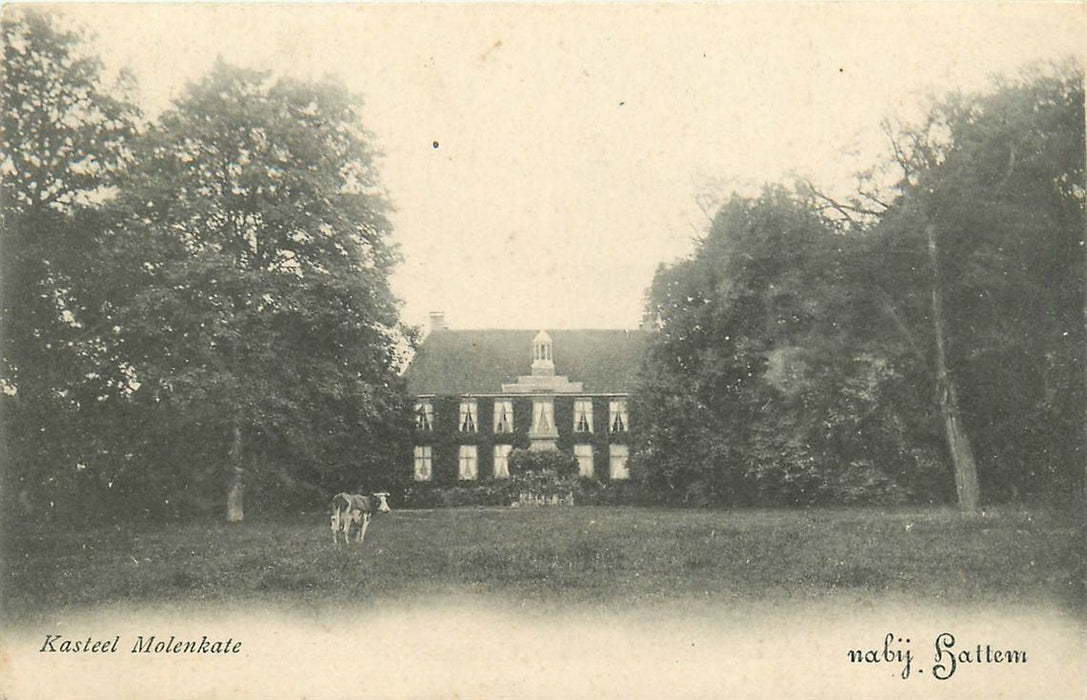 Hattem Kasteel Molenkate