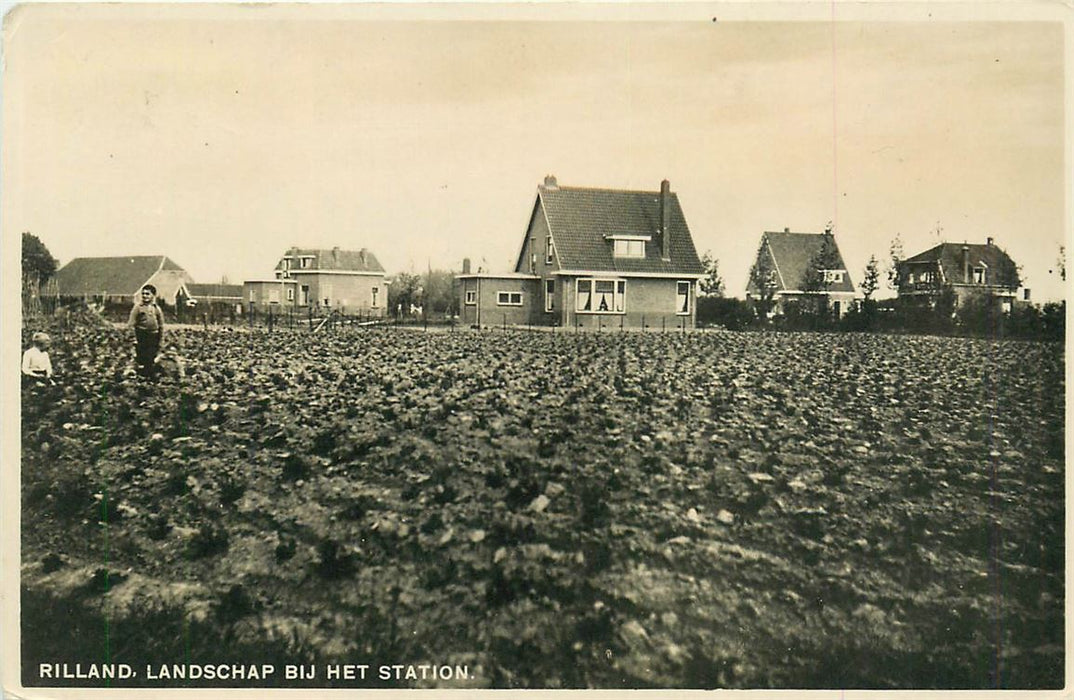 Rilland Landschap bij het Station