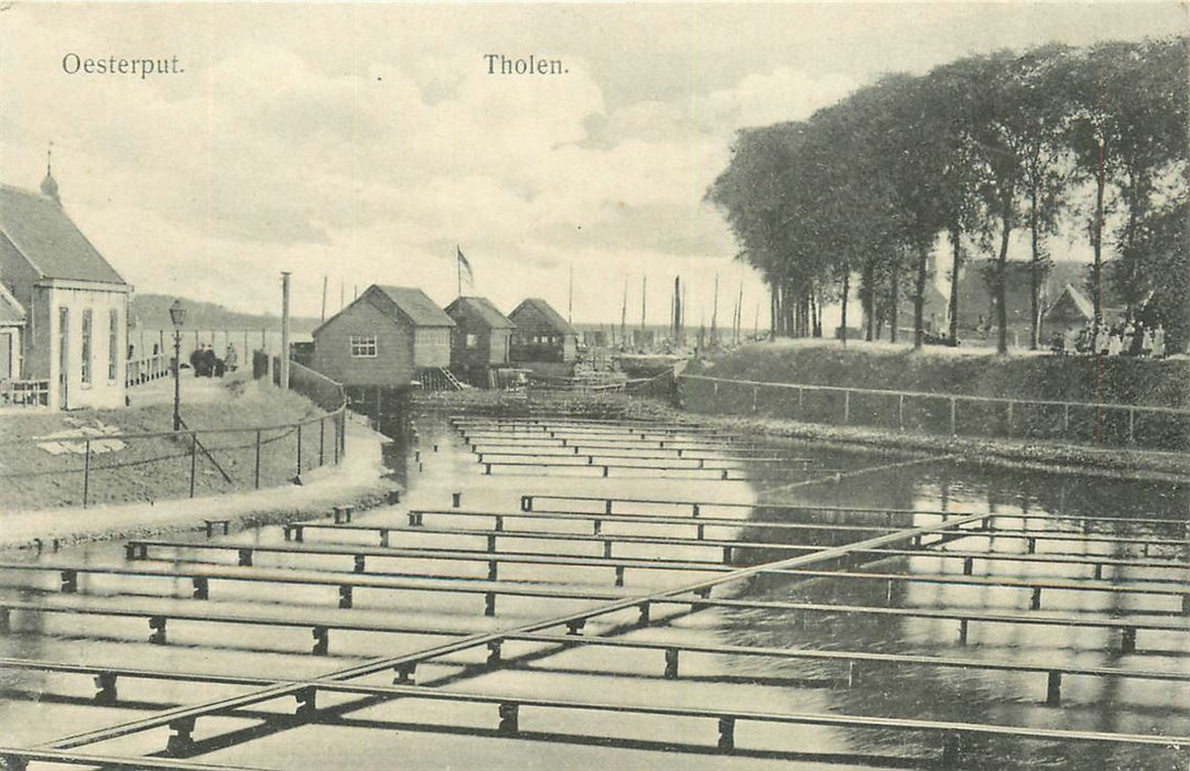 Tholen Oesterput