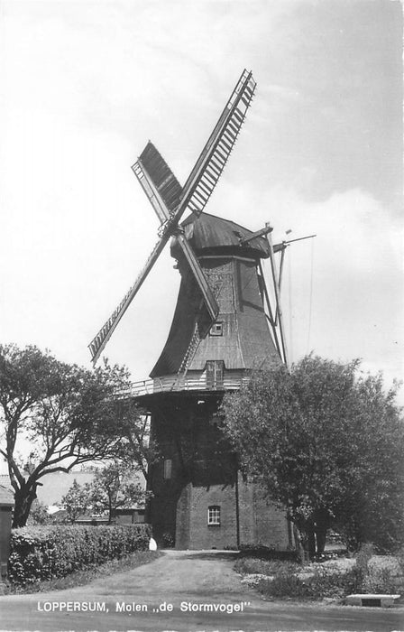 Loppersum Molen De Stormvogel