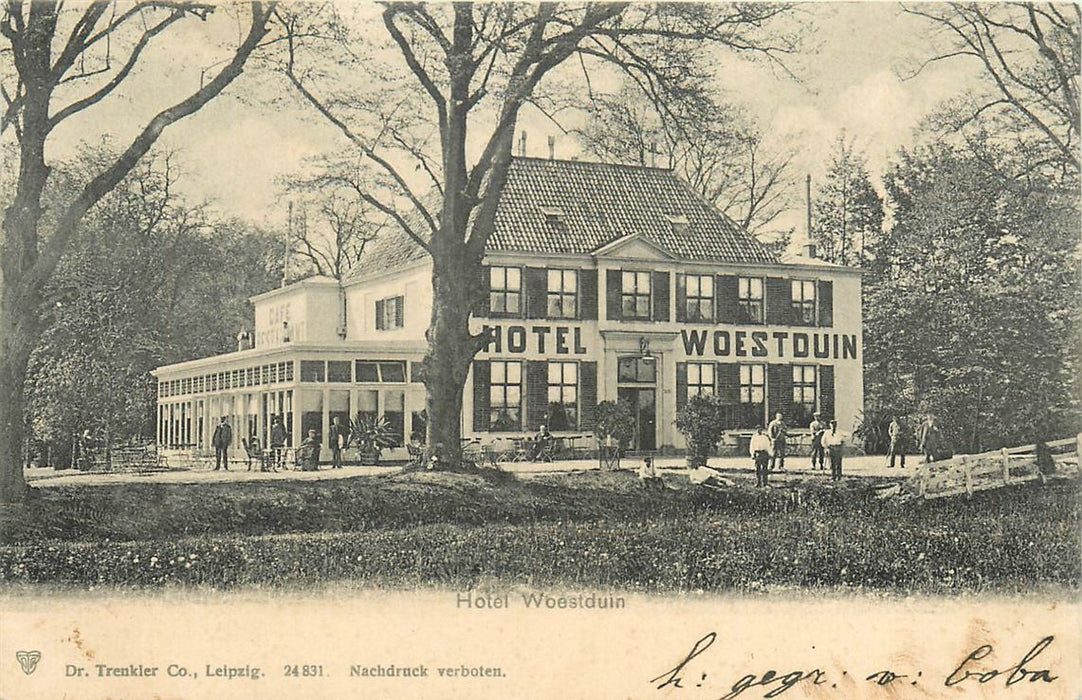 Vogelenzang  Hotel Woestduin