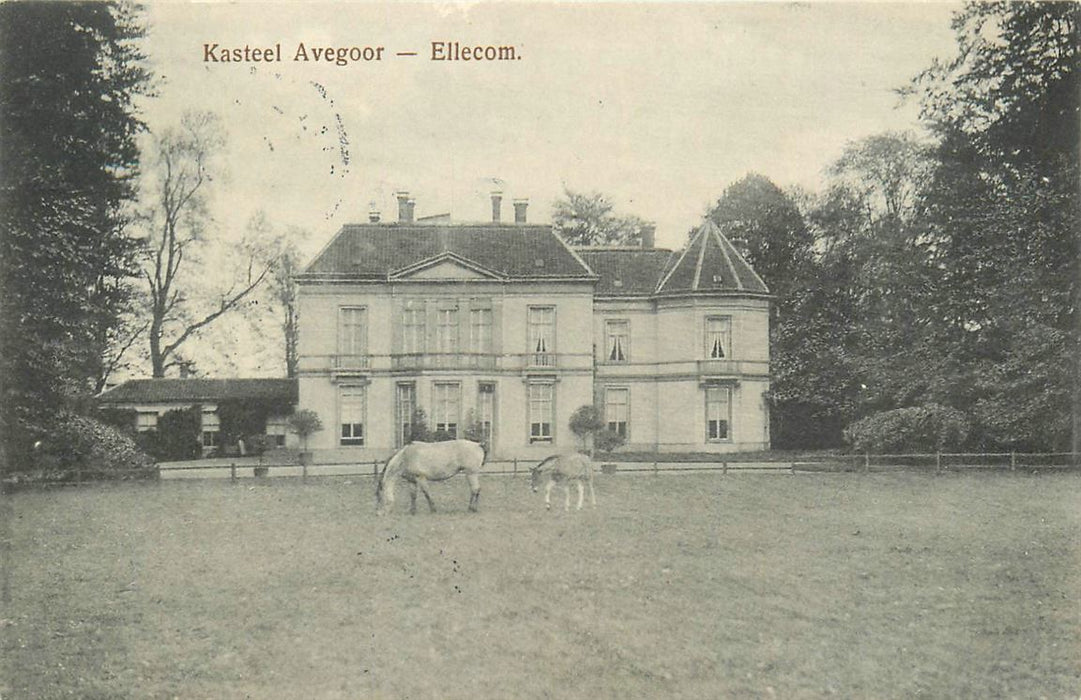 Ellecom  Kasteel Avegoor