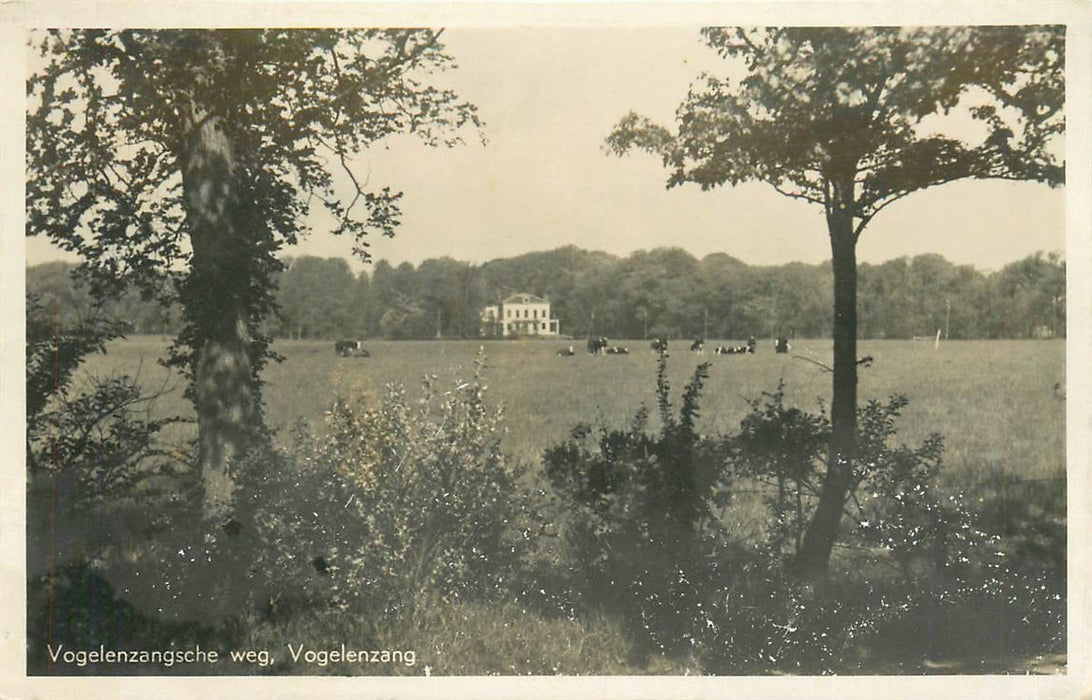 Vogelenzang  Vogelenzangsche weg