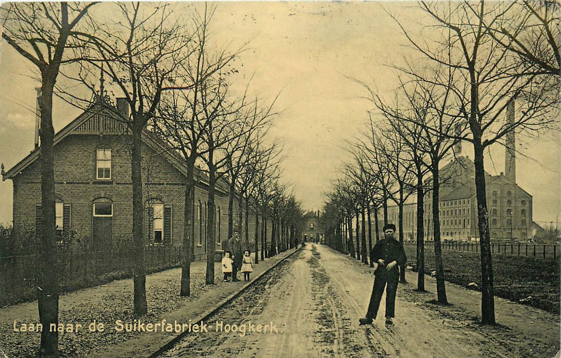 Hoogkerk Laan naar de Suikerfabriek