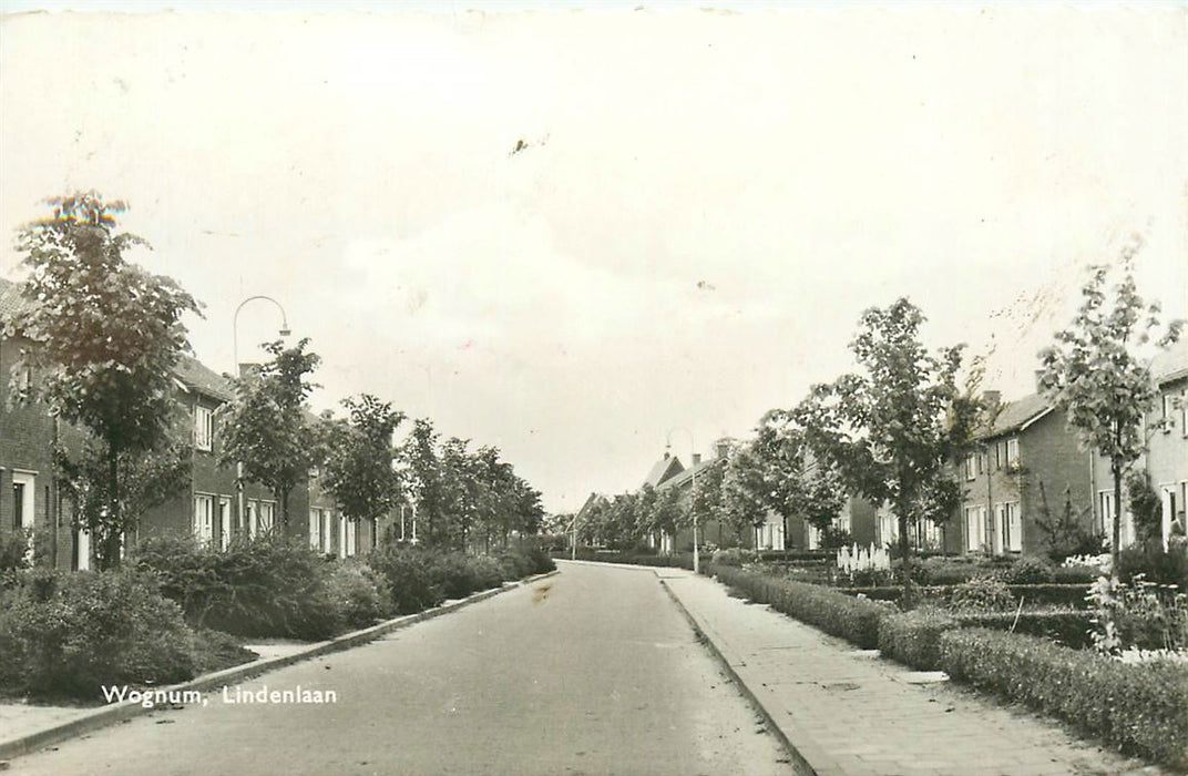 Wognum Lindenlaan