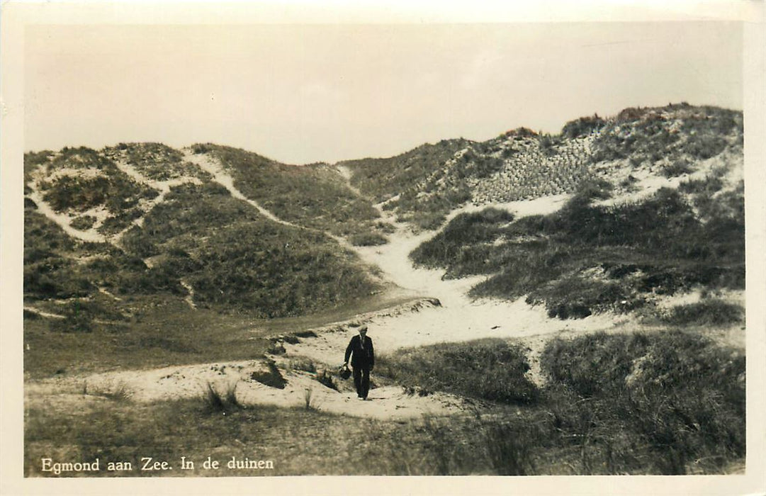 Egmond aan Zee In de Duinen