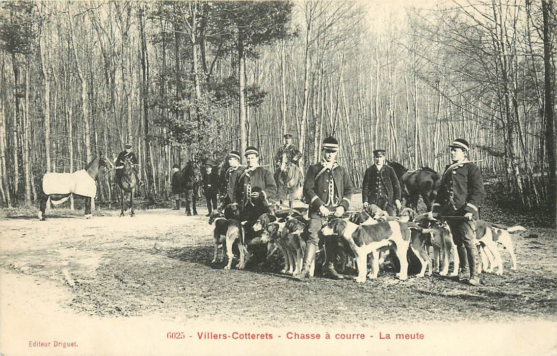 Villers Cotterets Chasse a Courre