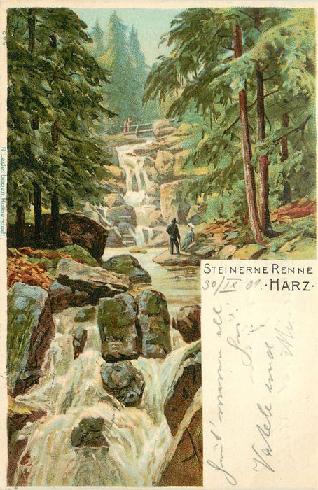 Harz Steinerne Renne