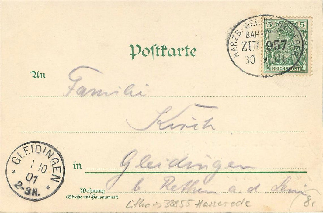 Harz Steinerne Renne