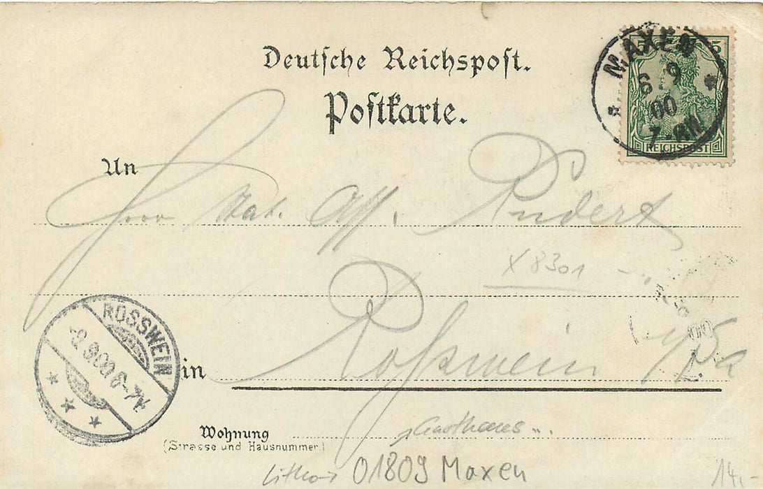 Finckenfang bei Maxen