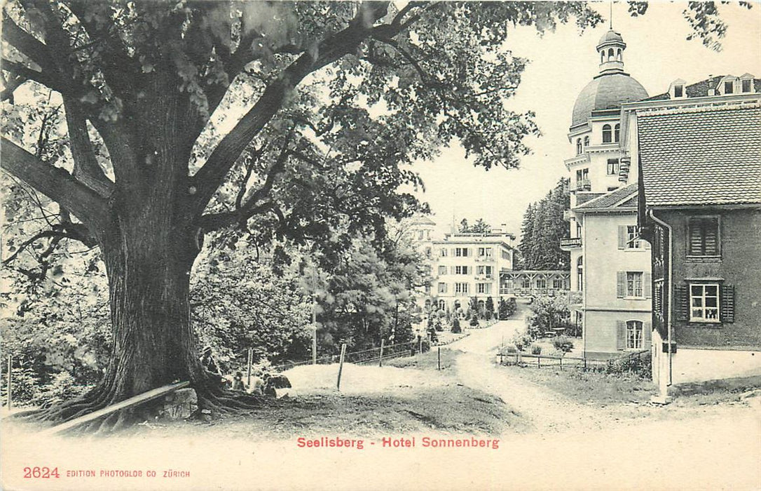 Seelisberg Hotel Sonnenberg