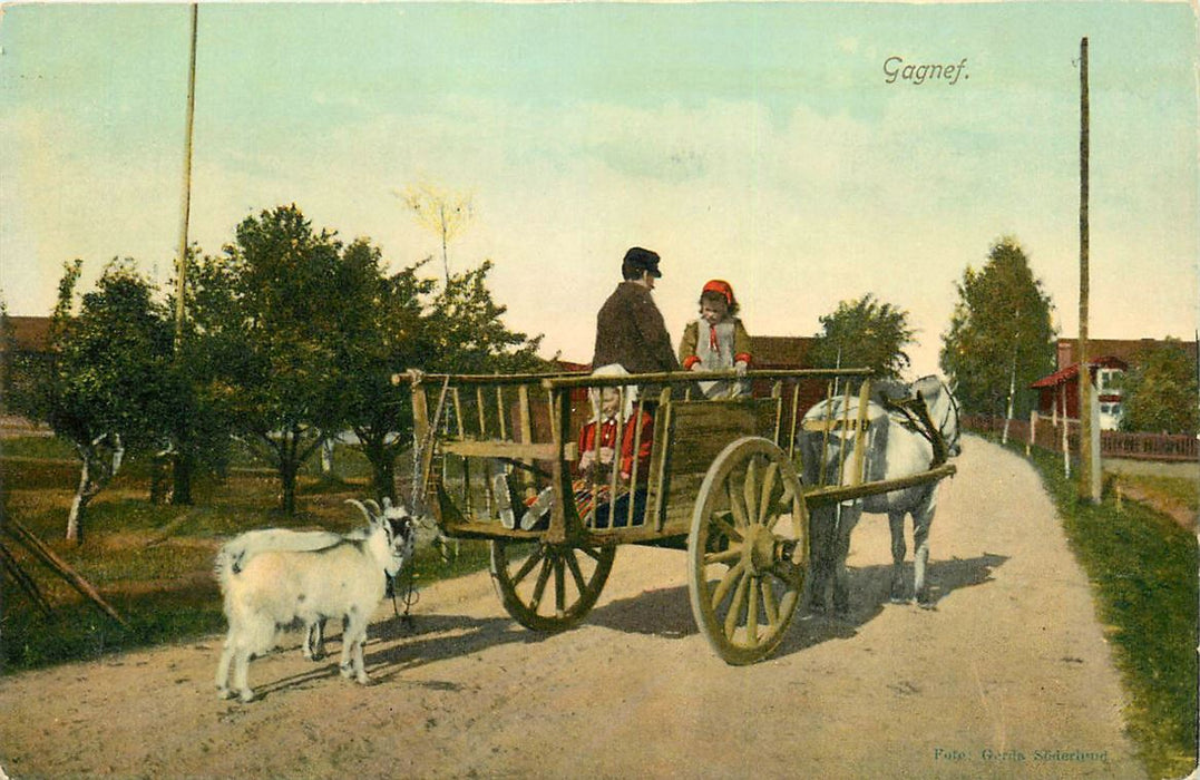Gagnef