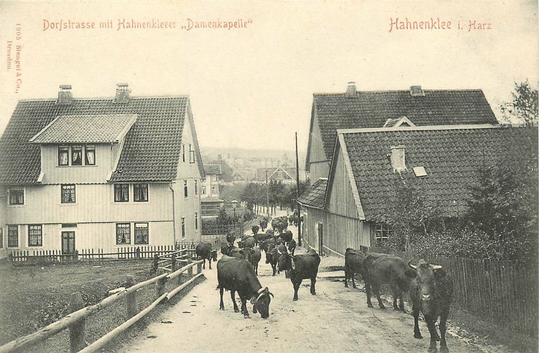 Hahnenklee Dorfstrasse