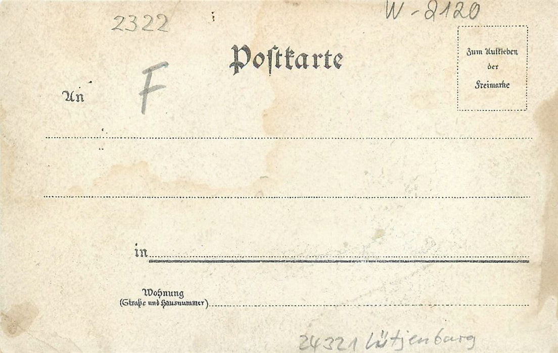 Holstein Litho