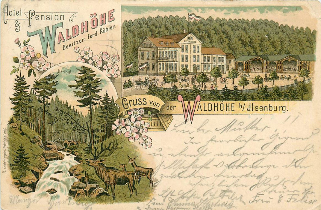 Ilsenburg Waldhöhe
