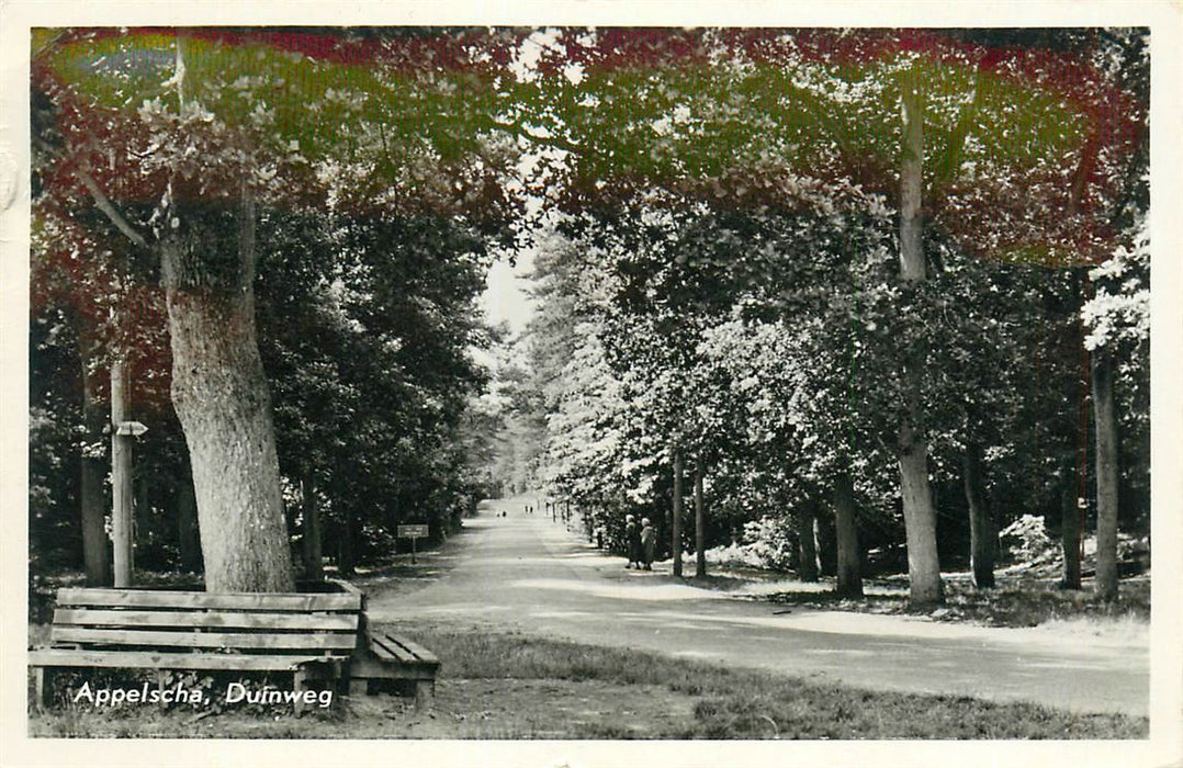 Appelscha Duinweg