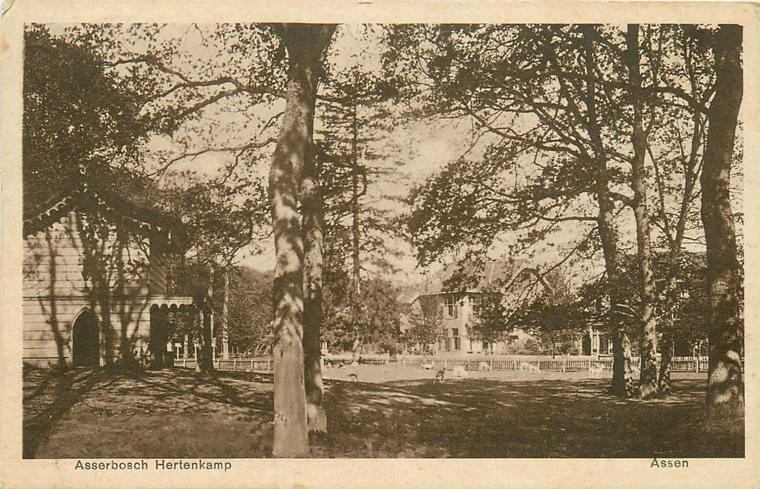 Assen Asserbosch Hertenkamp